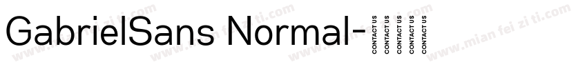 GabrielSans Normal字体转换